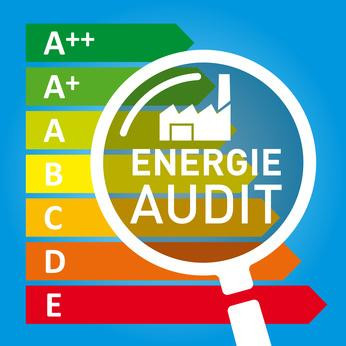 audits énergétiques obligatoires