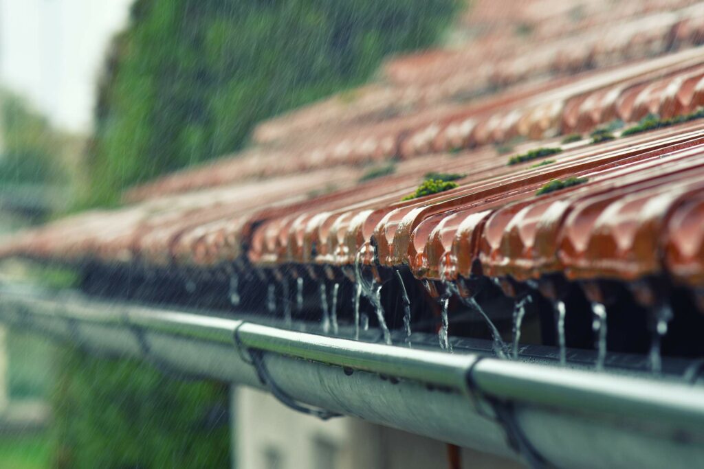 réseau eau de pluie maison