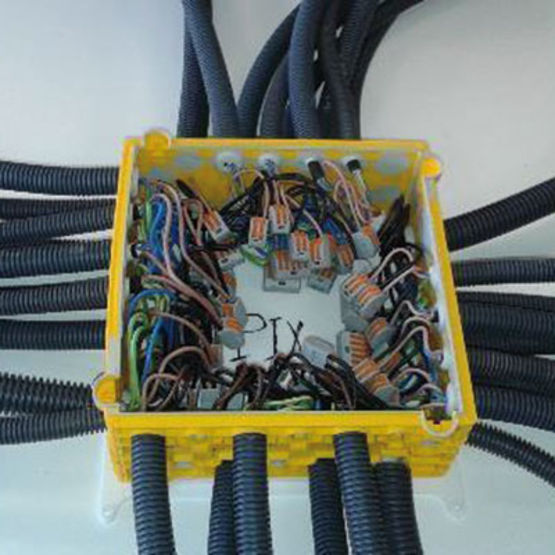 pieuvre électriques