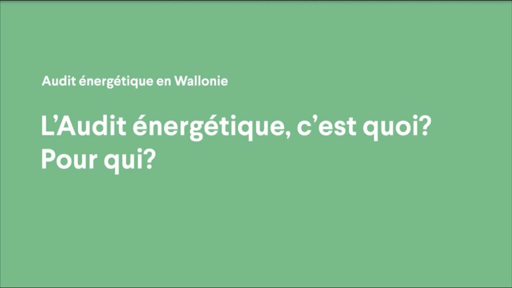 Audit énergétique pour qui